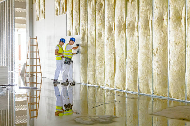Professional Insulation Contractor in Eden, TX